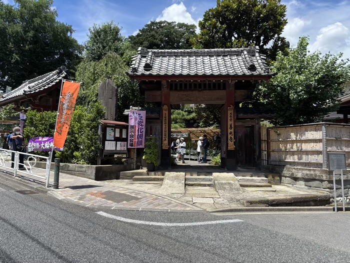 月参堂 善光寺　変化朝顔展示会　文京朝顔・ほおずき市