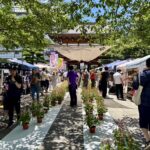 小石川　傳通院　文京朝顔・ほおずき市