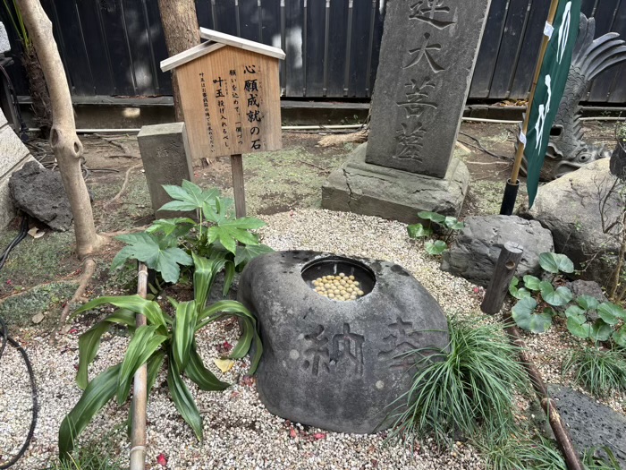 新宿　陽運寺（於岩稲荷）　心願成就の石