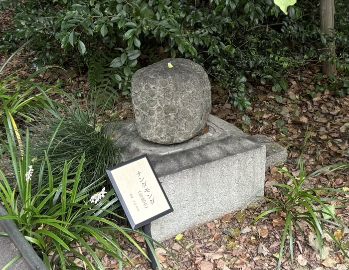 赤坂　乃木神社　ナンダモンダ