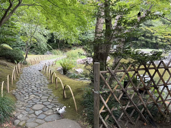 千代田区　九段下　靖國神社　神池庭園