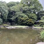 千代田区　九段下　靖國神社　神池庭園