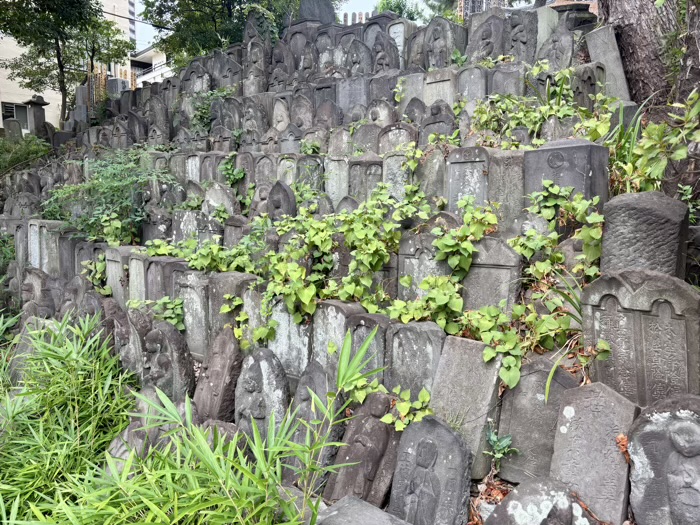 茗荷谷　深光寺