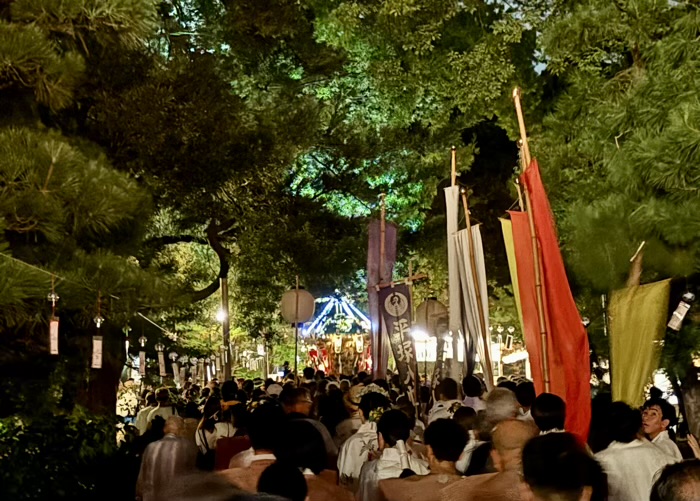 湘南　平塚八幡宮　例大祭　宮入り