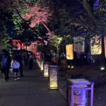 江島神社　江の島灯篭