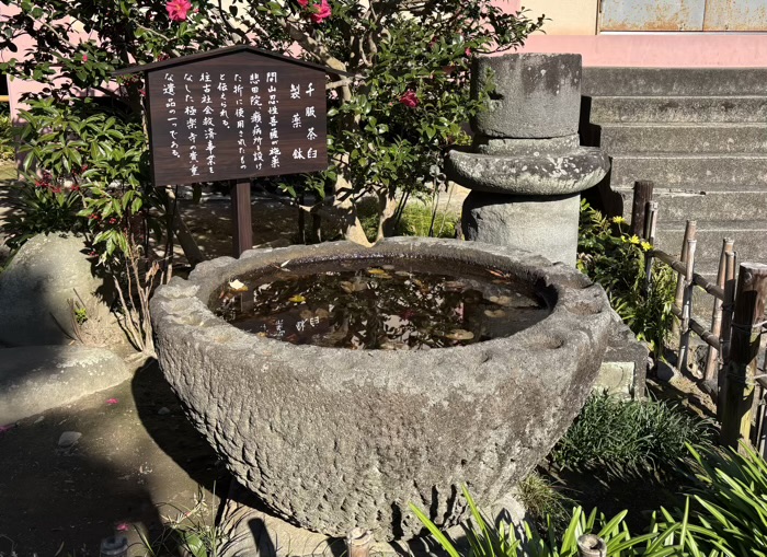 鎌倉　極楽寺　千服茶臼製薬鉢
