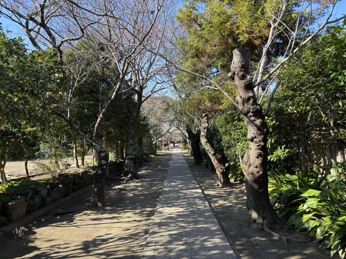鎌倉　極楽寺　参道