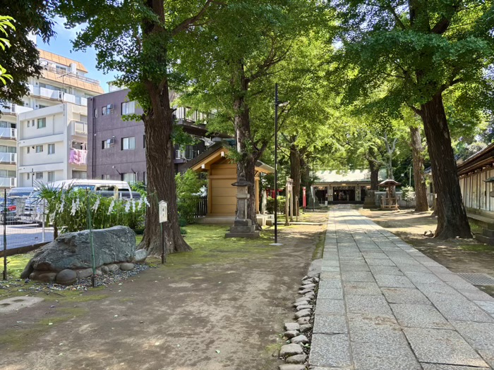 文京区　駒込天祖神社　亀石