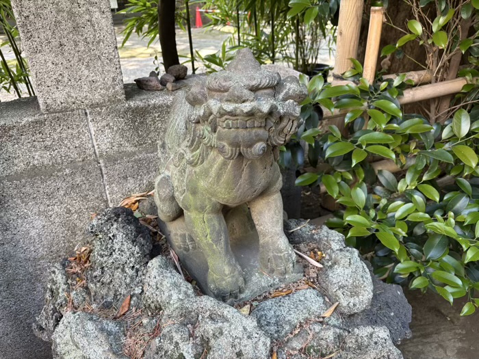 文京区　駒込天祖神社　狛犬