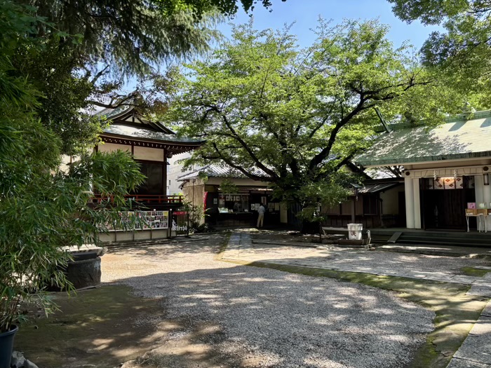 文京区　駒込天祖神社