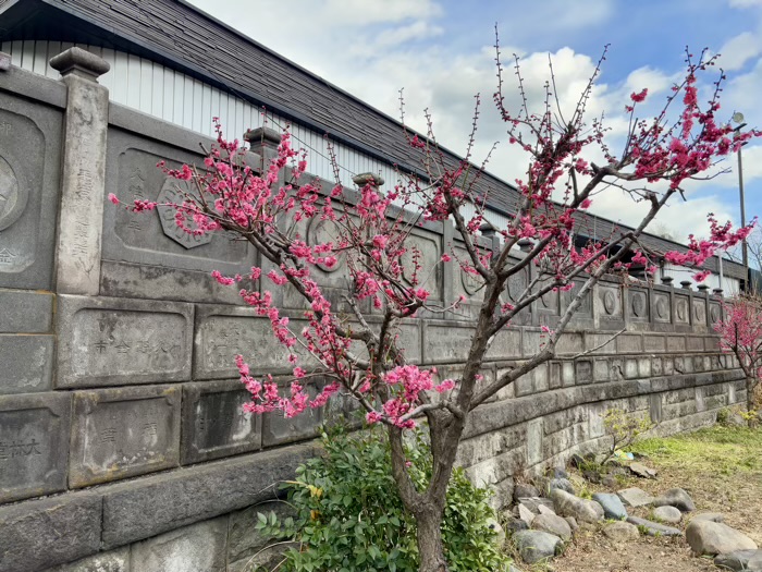 門前仲町　深川不動堂（成田山東京別院）