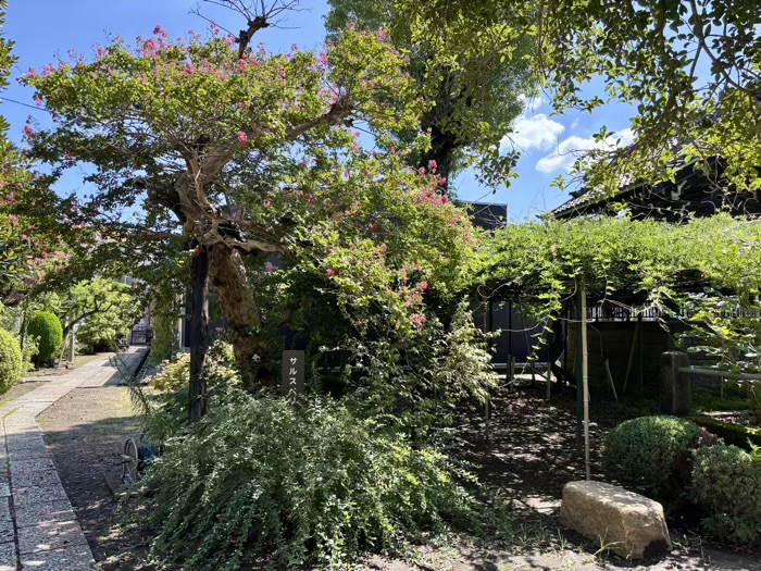 日吉本町　金蔵寺
