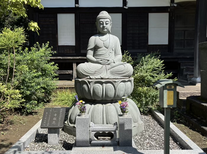 日吉本町　金蔵寺　阿弥陀如来坐像