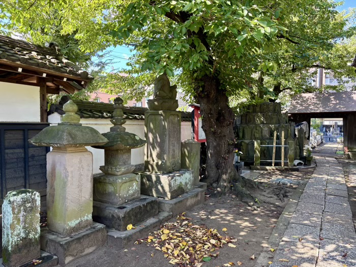 日吉本町　金蔵寺