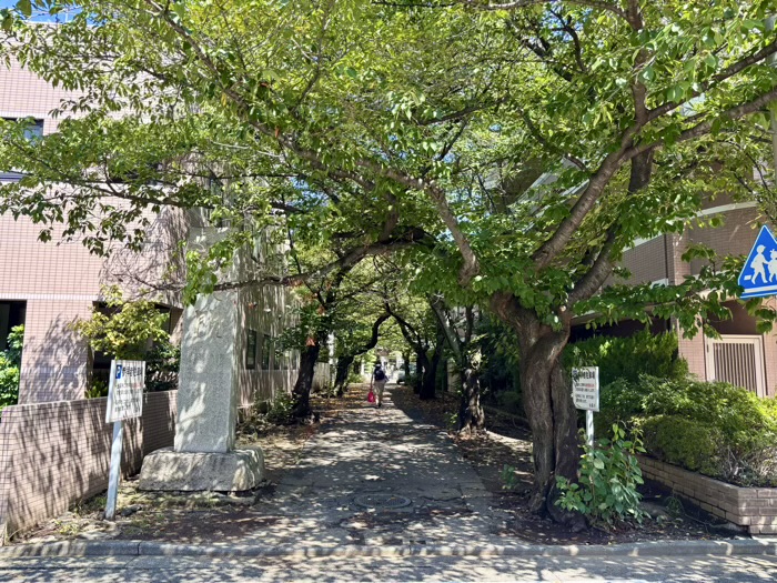 日吉本町　金蔵寺　櫻大門