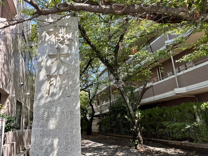 日吉本町　金蔵寺　櫻大門