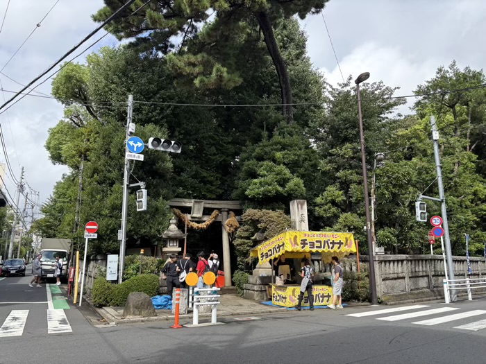 世田谷区　奥沢　奥澤神社　厄除大蛇お練り