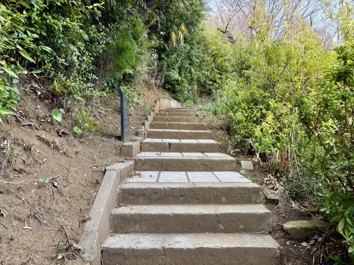 日吉本町 金蔵寺 裏山