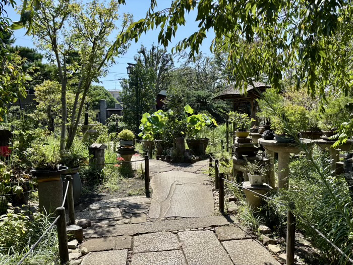 大和　常泉寺　椿の丘