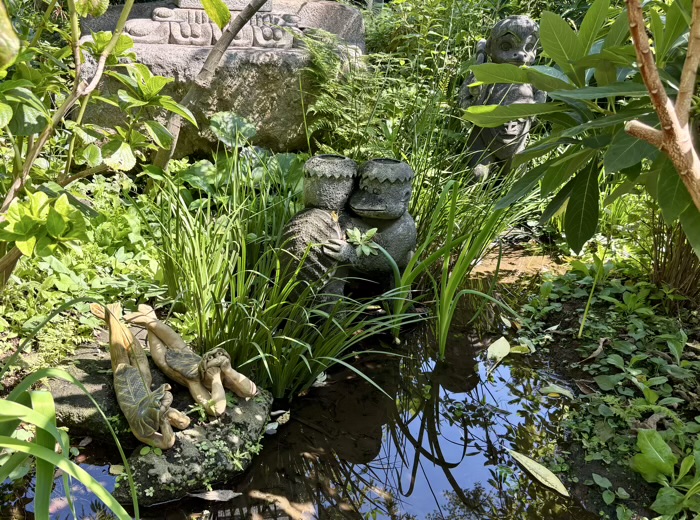 大和　常泉寺　河童池