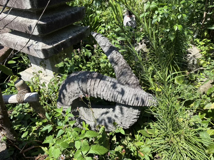 大和　常泉寺　椿の丘