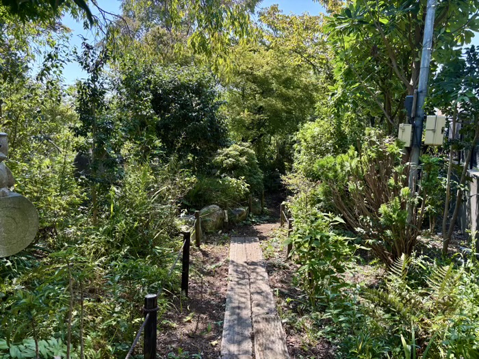 大和　常泉寺　一木の道