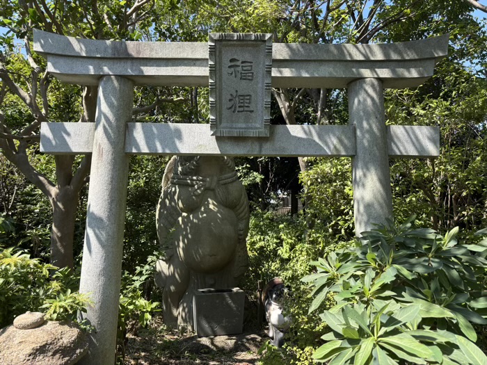 大和　常泉寺　福狸神社