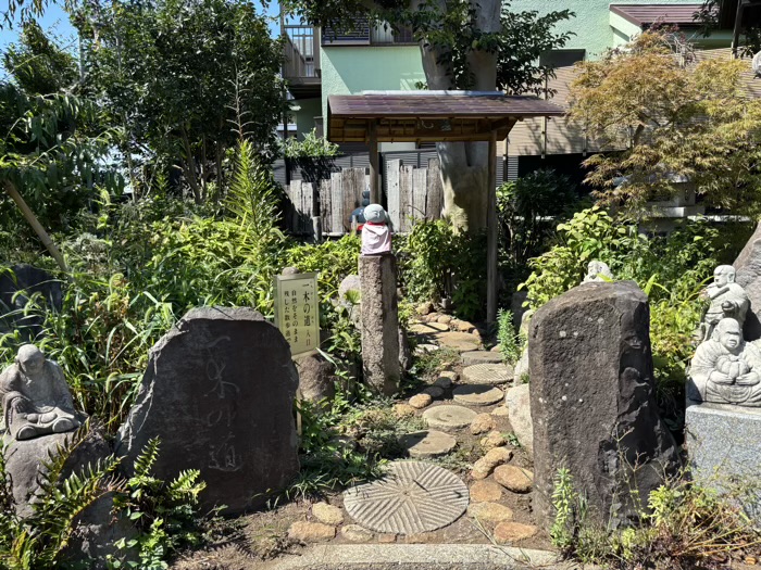 大和　常泉寺　一木の道