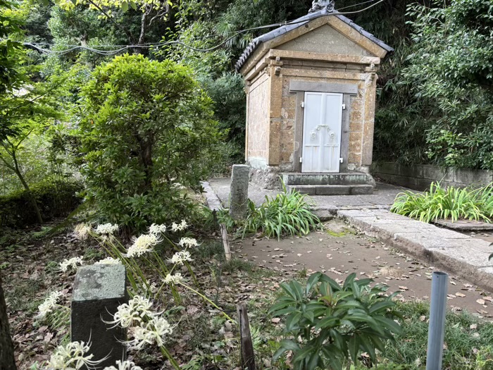 新羽　西方寺　曼珠沙華（彼岸花）