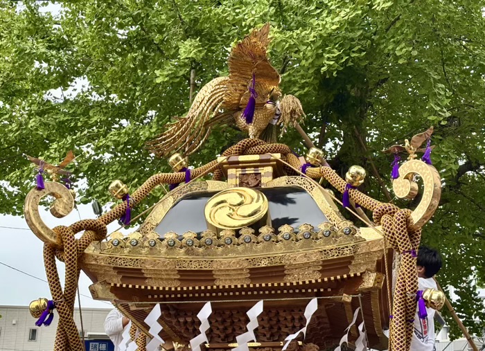 鷺沼　有馬神明神社　例大祭　神輿渡御