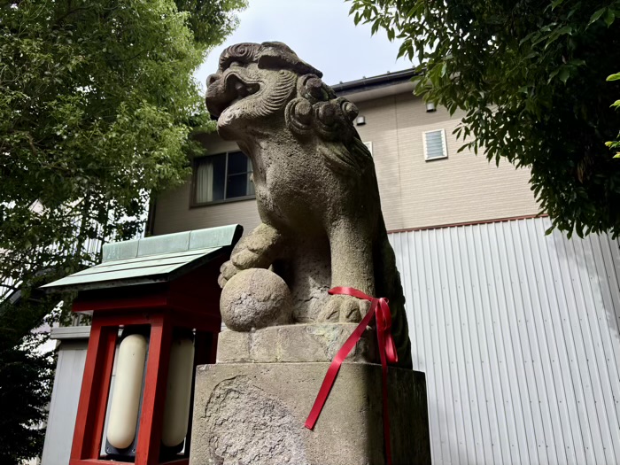 鷺沼 有馬神明神社 狛犬
