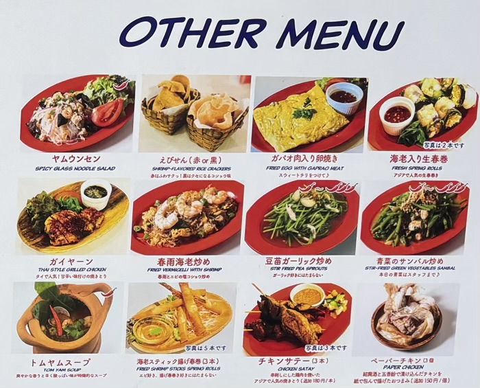 MR.CHICKEN鶏飯店 五反田店　メニュー