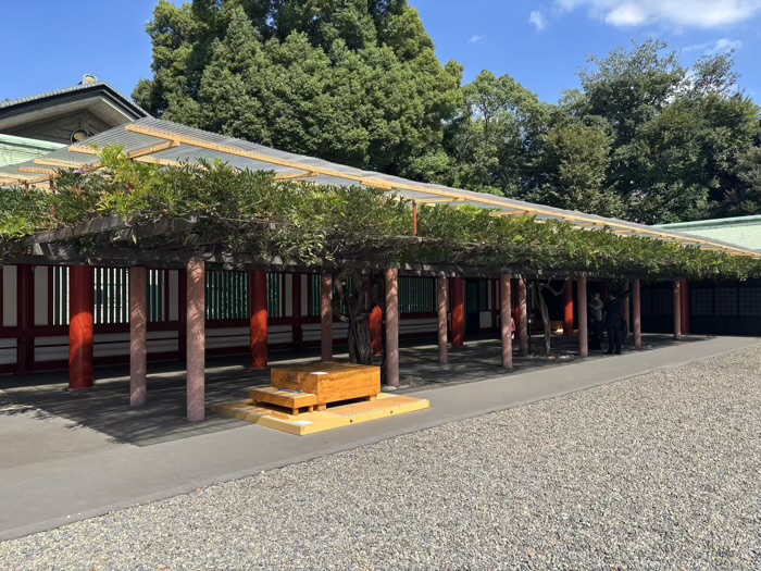 赤坂　日枝神社　七五三