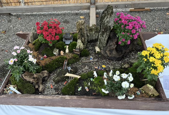 九段下　靖国神社　奉納菊花展