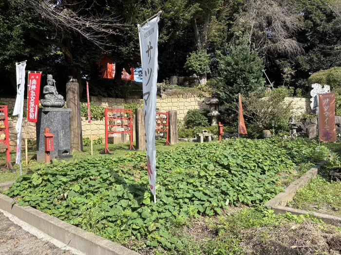不動前 目黒不動尊 甘藷祭り(薩摩芋 秋 収穫祭)