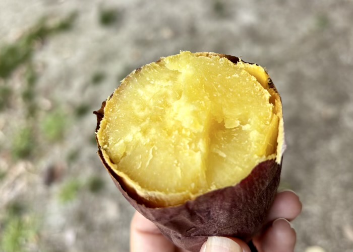 不動前 目黒不動尊 瀧見茶屋