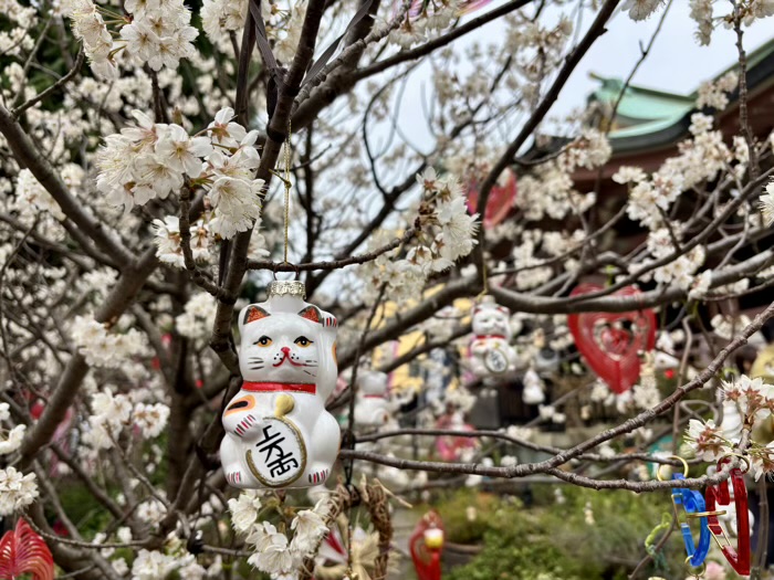 浅草　今戸神社　庭園