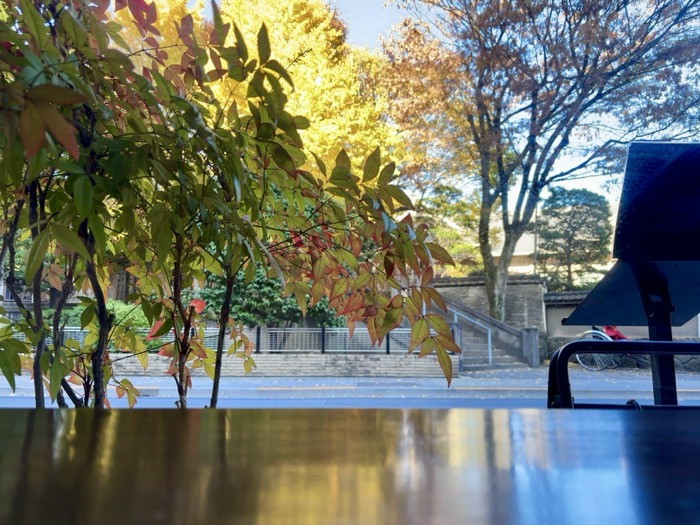 ごはん×カフェ「madei」