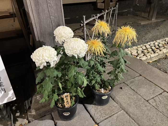 大田区 御嶽神社 酉の市