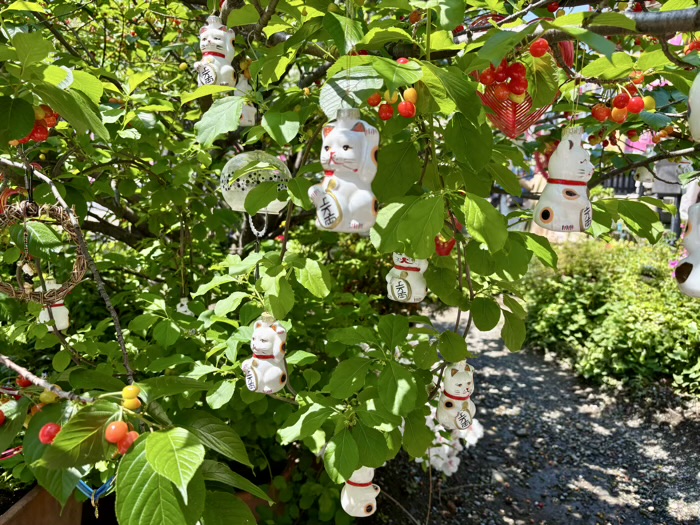 浅草　今戸神社　庭園