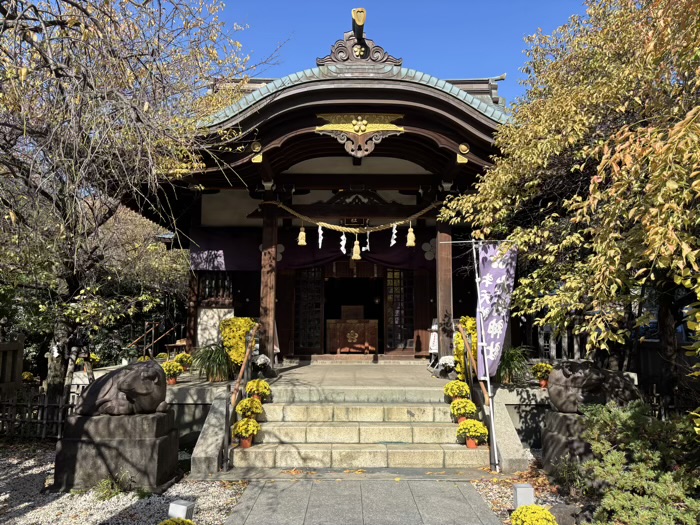文京区　牛天神北野神社　菊わらべまつり