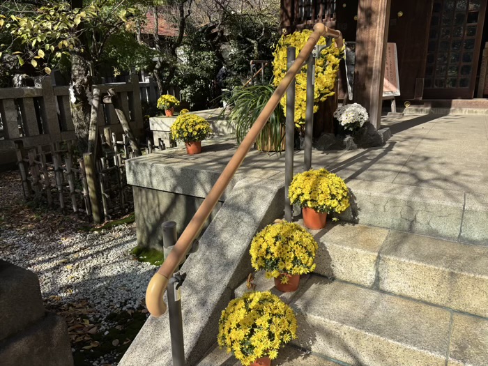 文京区　牛天神北野神社　菊わらべまつり