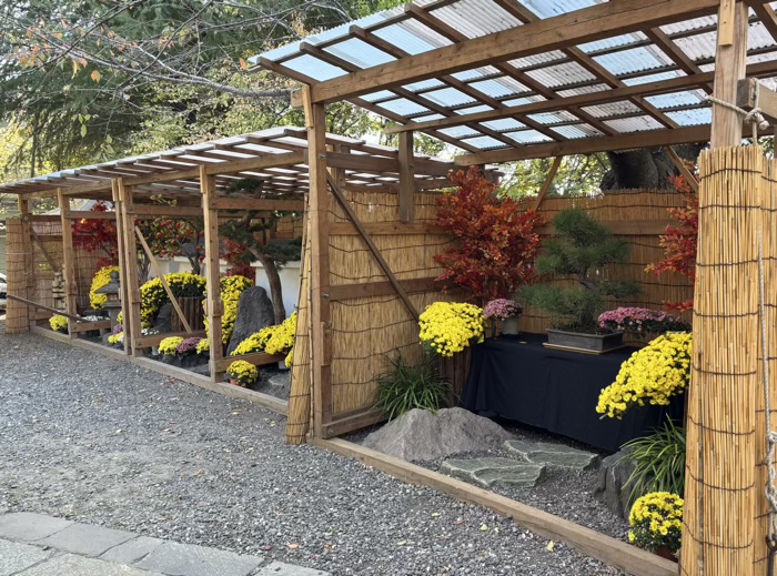 文京区　牛天神北野神社　菊わらべまつり