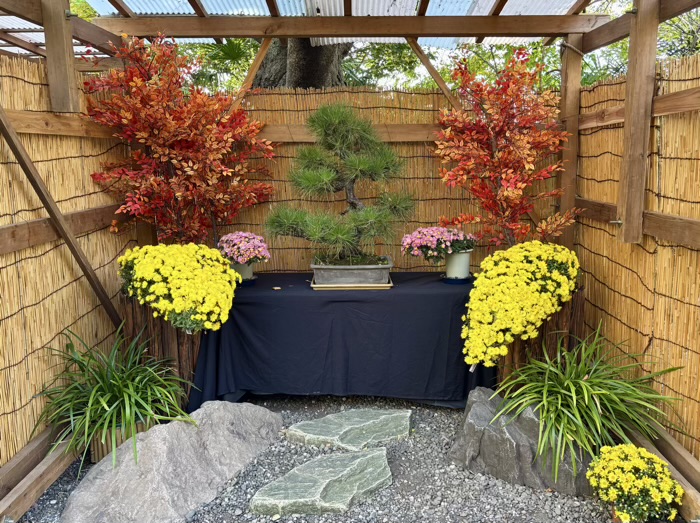 文京区　牛天神北野神社　菊わらべまつり