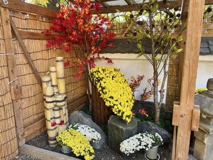 文京区　牛天神北野神社　菊わらべまつり