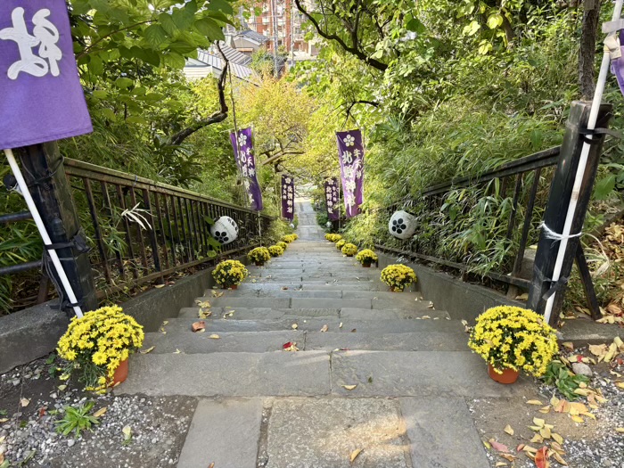 文京区　牛天神北野神社　菊わらべまつり