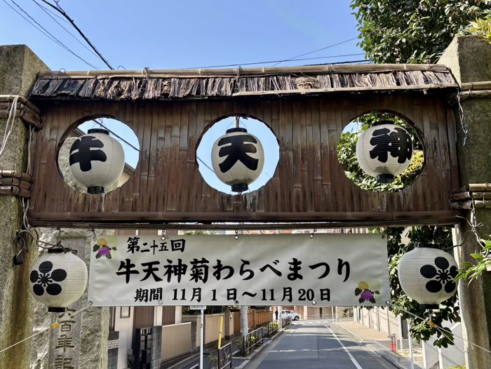 文京区　牛天神北野神社　菊わらべまつり