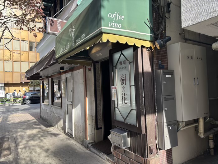 銀座 Flor de café 樹の花