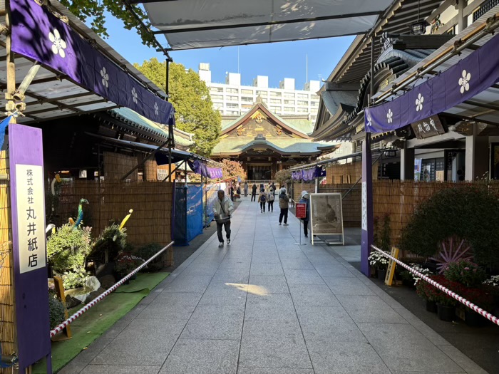 文京区 湯島天満宮 菊まつり
