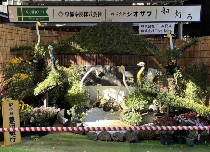 文京区 湯島天満宮 菊まつり